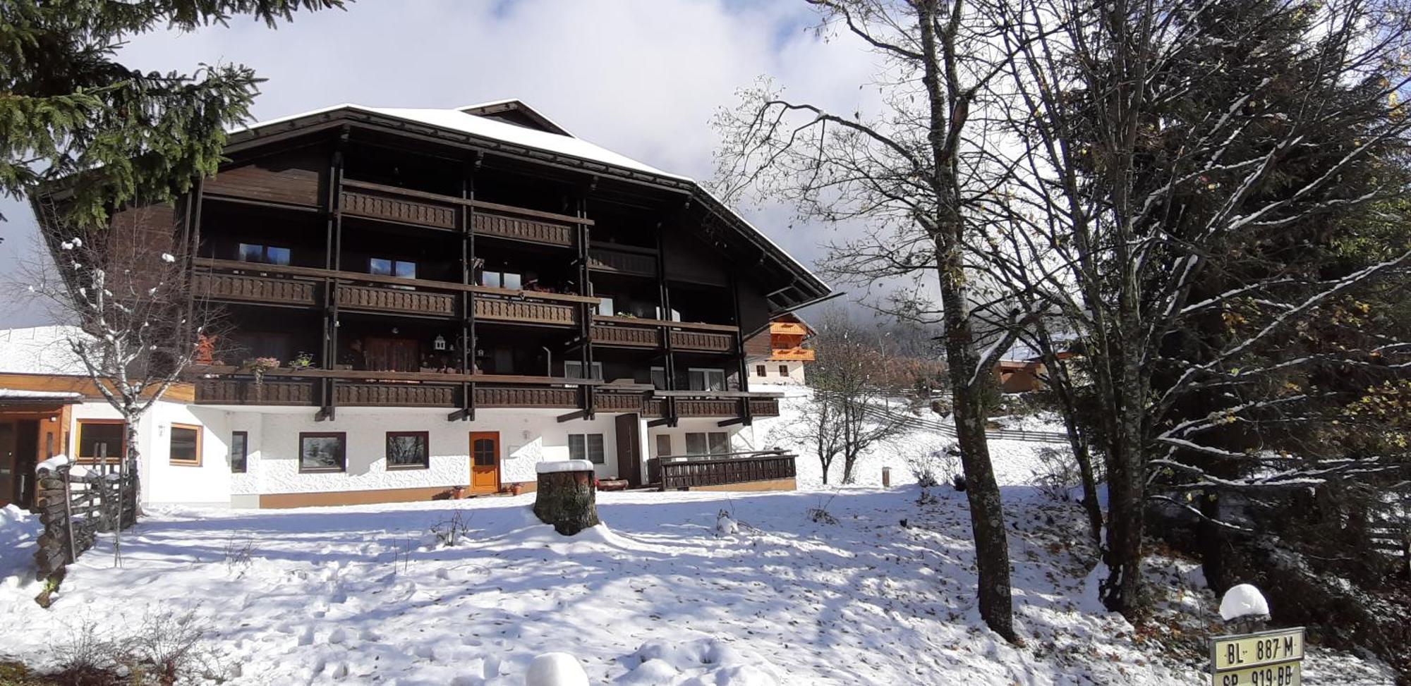 Fewo Brunnach By Isa Badkleinkirchheim Bad Kleinkirchheim Kültér fotó